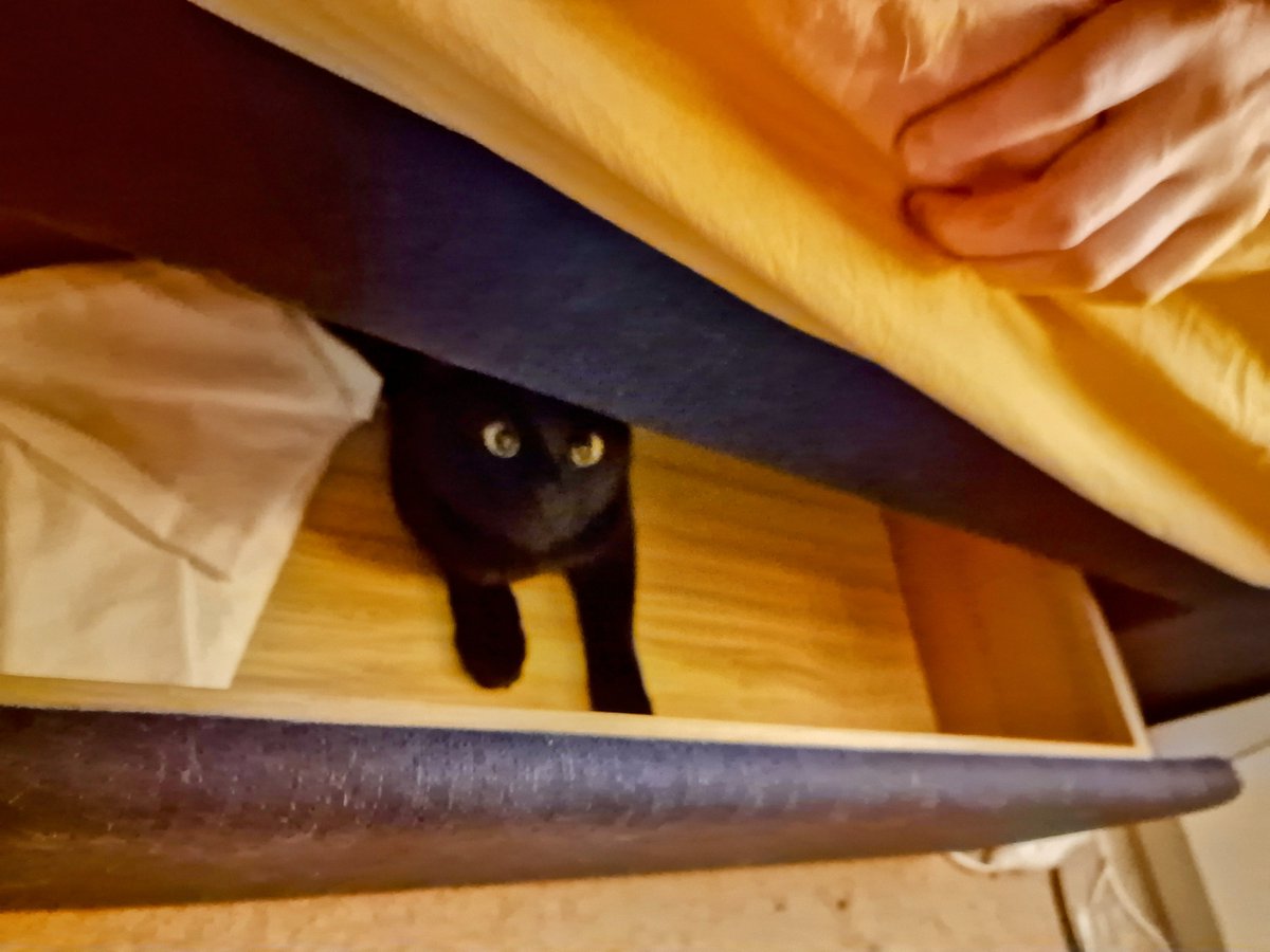 Hadn't seen Bertles for a bit, turns out he'd done Bumble's trick of