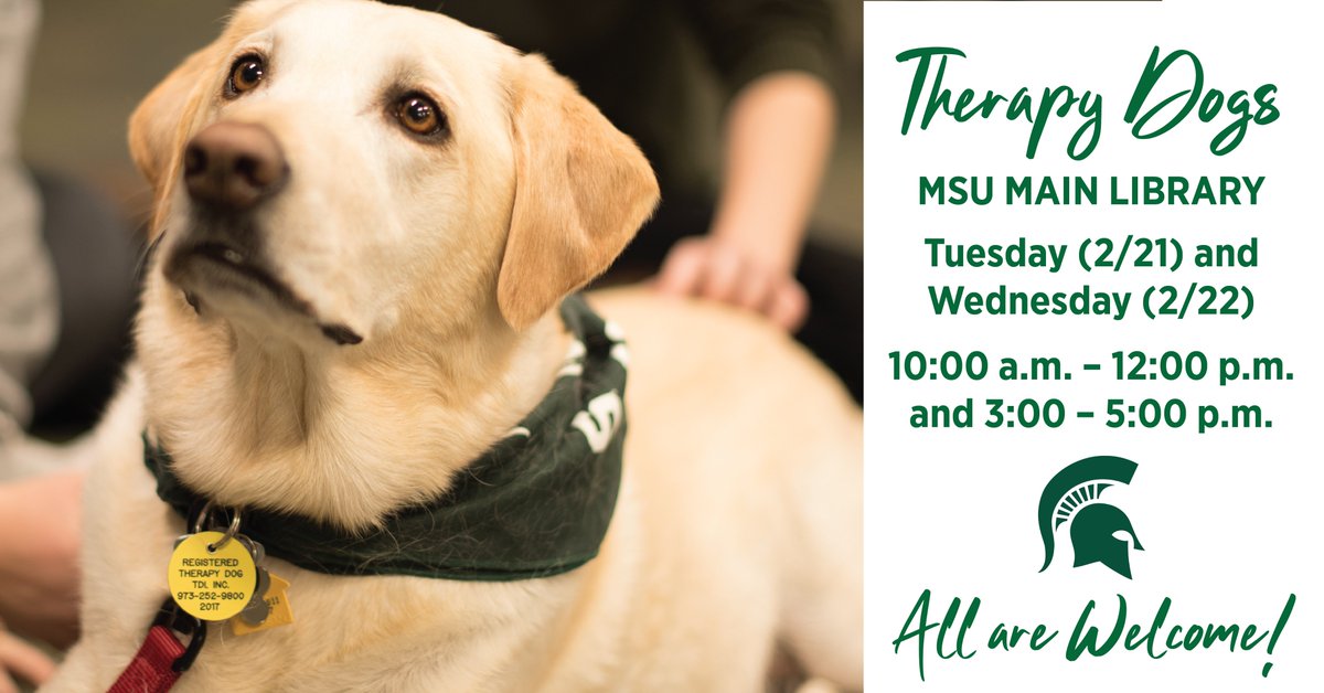 Therapy dogs will be back at the MSU Libraries today and tomorrow, 10 a.m.–12 p.m. and 3–5 p.m. 💚🤍💚 #SpartanStrong