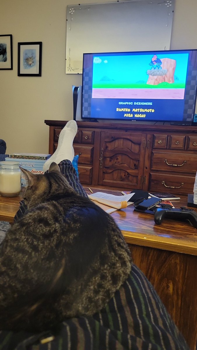 #CatGamer #CatsOnTwitter A good relaxing way to finishing watching @chuggaaconroy clear Paper Mario!