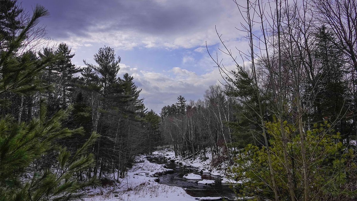 WildAdks's tweet photo. Ray Brook from the Adirondack Rail Trail at Ray Brook, Essex County, NY (20 February 2023). https://t.co/8u3v9WEXjp 

#AdirondackHabitats #WinterWatchAdirondacks #WinterWatchADK #RayBrook #AdirondackRailTrail https://t.co/YoMTRJhTLJ