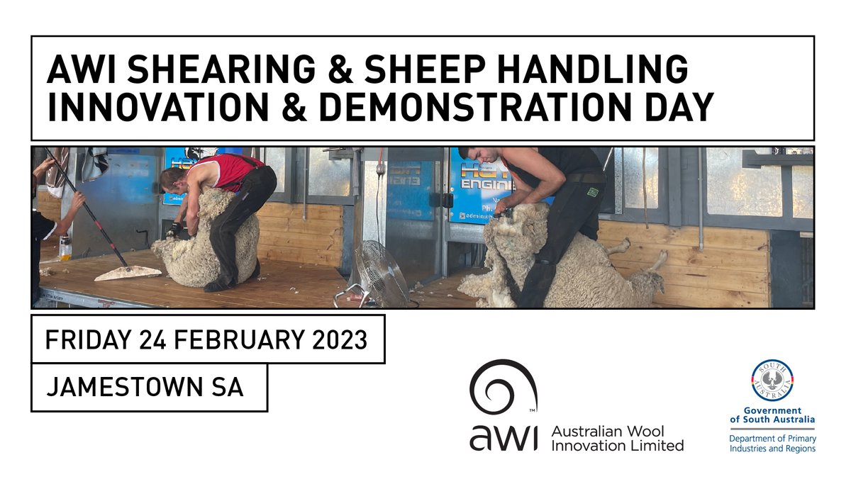 Catch the Sheep Connect SA team at the ‘AWI Shearing and Sheep Handing Demonstration Day’ at Jamestown is this Friday 24th Feb from 9-4.

There will be demonstrations and presentations held across the day. Rego: bit.ly/3HGtBKS
<a href="/woolinnovation/">Australian Wool Innovation</a> <a href="/Livestock_SA/">Livestock SA</a> <a href="/MerinoInsight/">Merino SA</a>