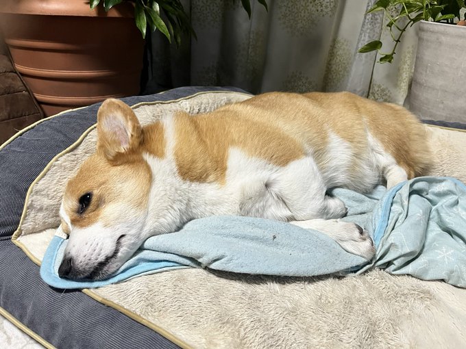 おはようございます。 