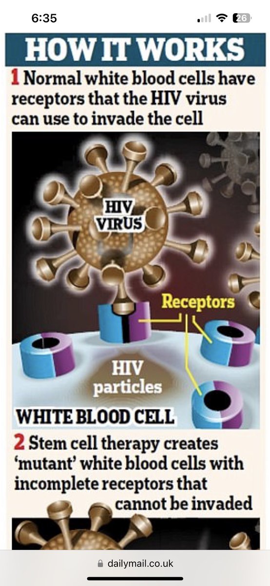 rainbowhworks's tweet photo. Quinto paciente que se cura de #Sida
El procedimiento además parece ser ideal para curar otros padecimientos como la #leucemia
Las #steamCells revolucionan la medicina. Y USA se está quedando atrás por los políticos que ponen la religión antes que la ciencia https://t.co/gwoxk0Qz9W