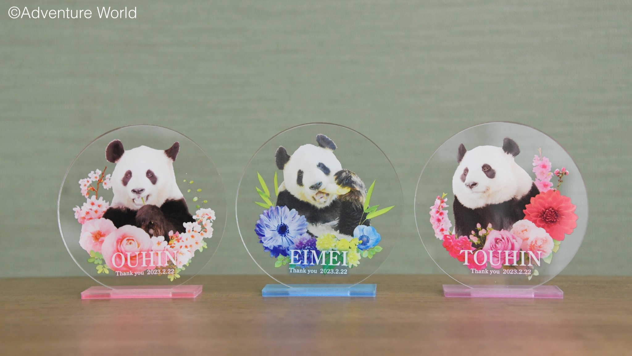 アドベンチャーワールド 激レア 限定品 永明 アクスタ アドベンチャーワールド 永明アクスタ - メルカリ