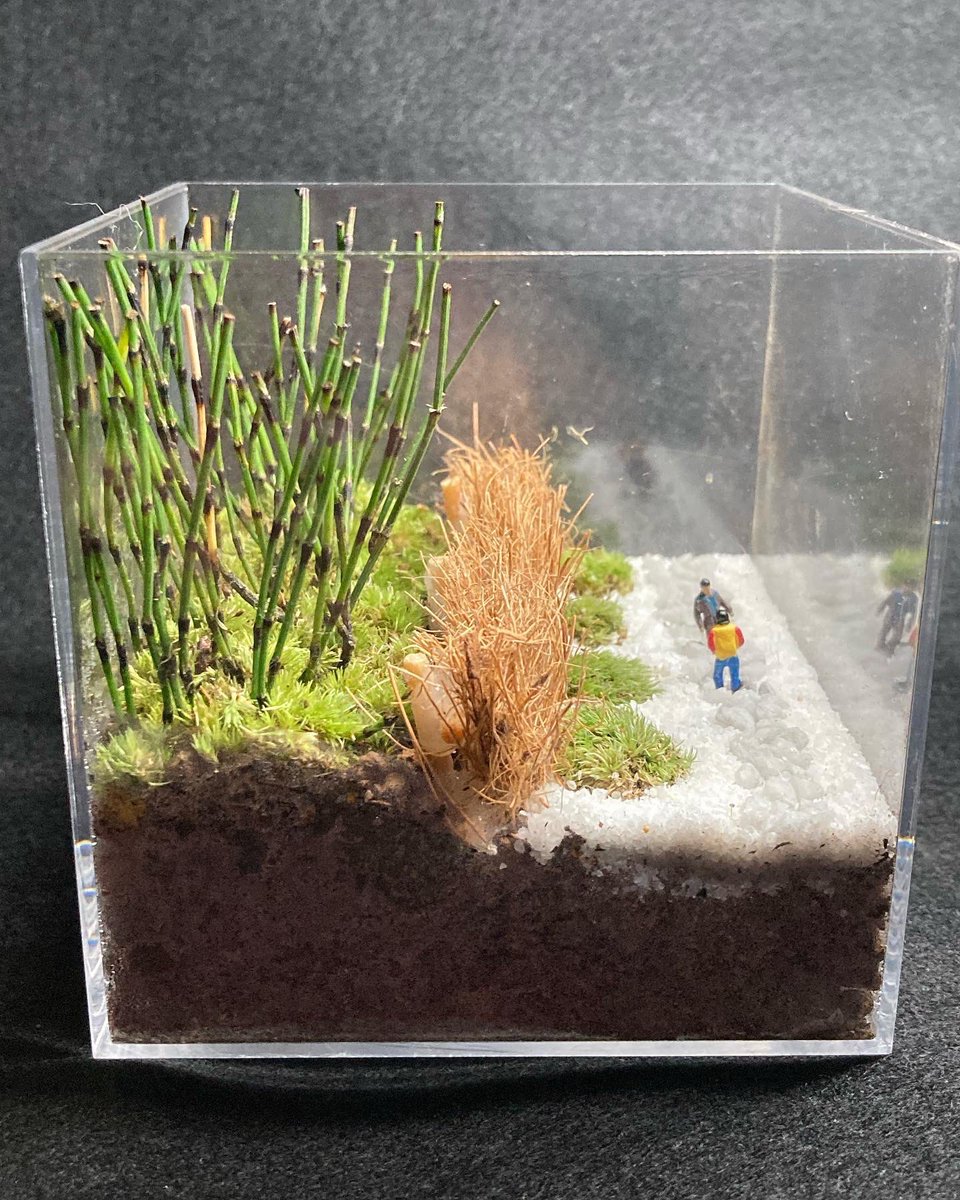 farm038992681's tweet photo. 今日の作品！
『最後の決闘！』チャイニーズマフィアのヤンをついに追い詰めた刑事のツァイチェン、最後の決闘が今始まる・・・！

#香港映画 #決闘 #畑 #畑仕事 #山 #苔 ＃コケ #テラリウム #苔テラリウム #terrariums #moss  #mossdesign #草原 #farm #草原farm #花　#Green #Flower #植物 #ROCK https://t.co/ADZZAuqPGO