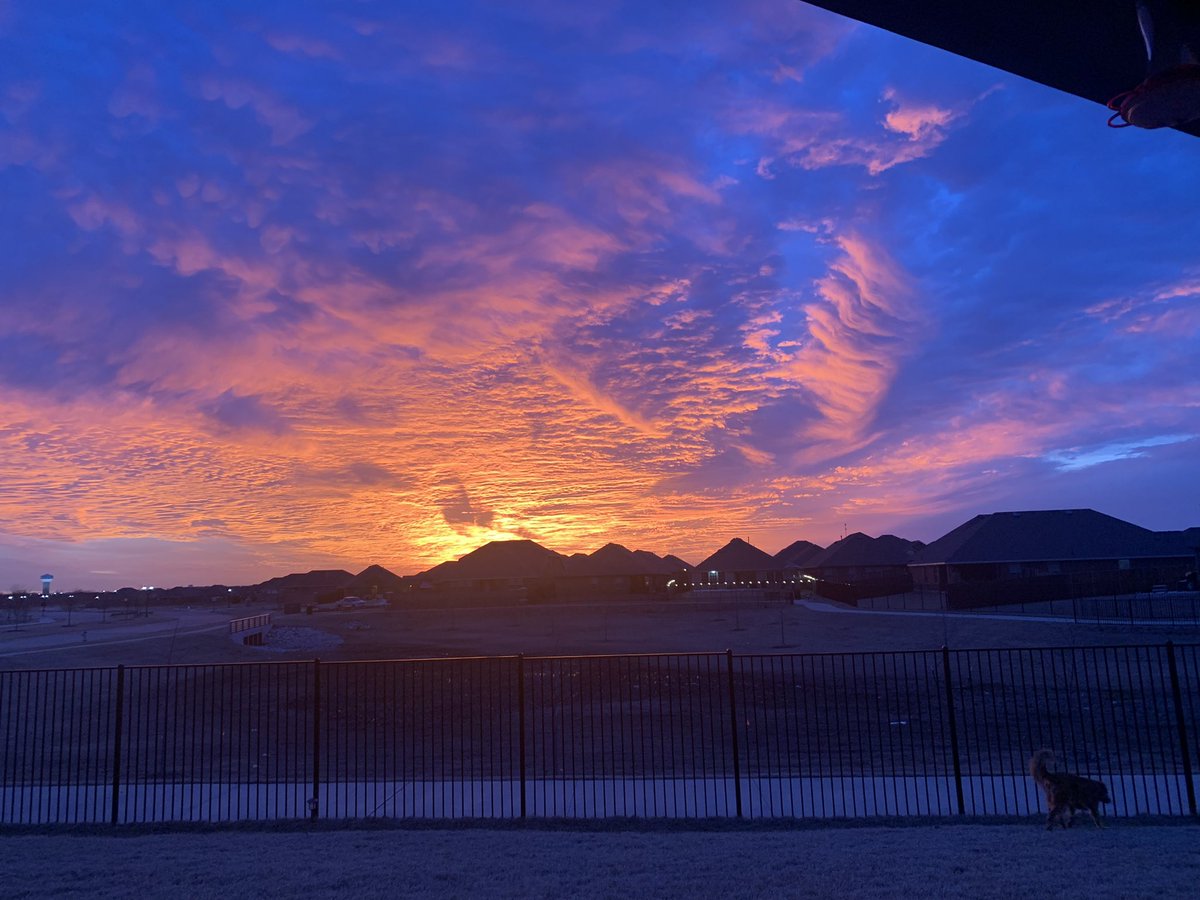 Kelly Meagher tweet media