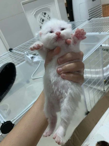 humbeetle's tweet image. alweys in air jale .. .