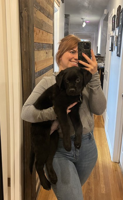 Meet Yogi 🐾 https://t.co/A4qTBjCqxz