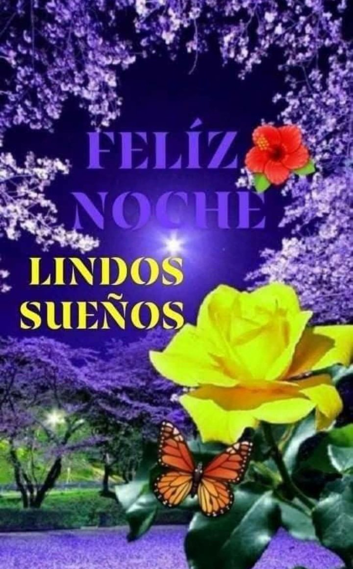 BLANCA ESTELA BERMUDEZ NAVARRETE (@estela_bernav) on Twitter photo 