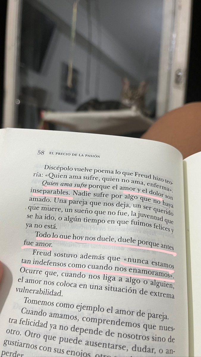 SolciRicasoli's tweet photo. 💔 https://t.co/cVlFuyQeep