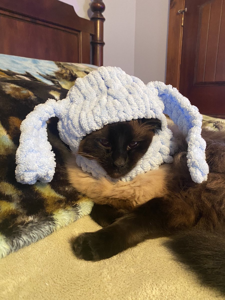 If I get murdered in my sleep, it was worth it.