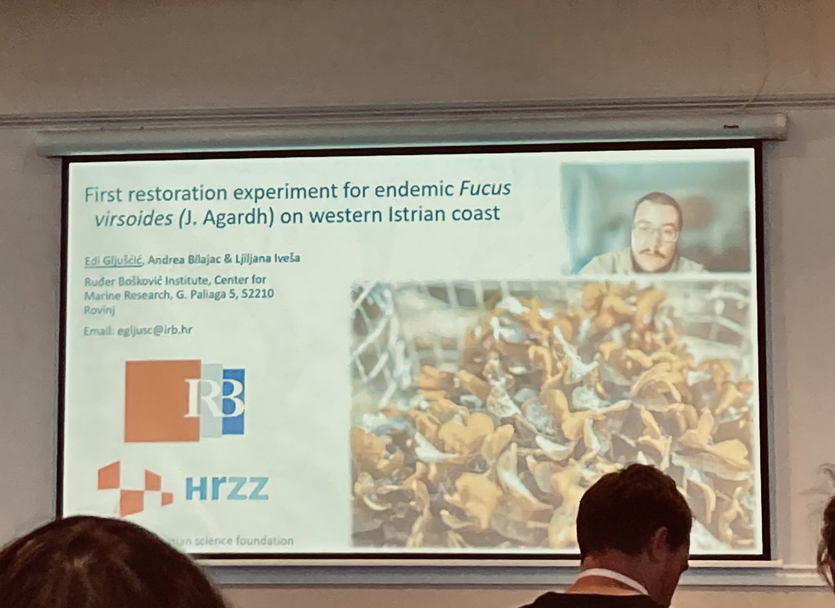 FucaleanForests's tweet photo. Our assistant/PhD candidate Edi presents our #restoration work on the north Adriatic endemic Fucus virsoides 🪴 at #ISS2023. We use a combination of in-situ and ex-situ techniques to optimise success 🔬#helpthekelp #kelpforestchallenge https://t.co/vpessCEpao