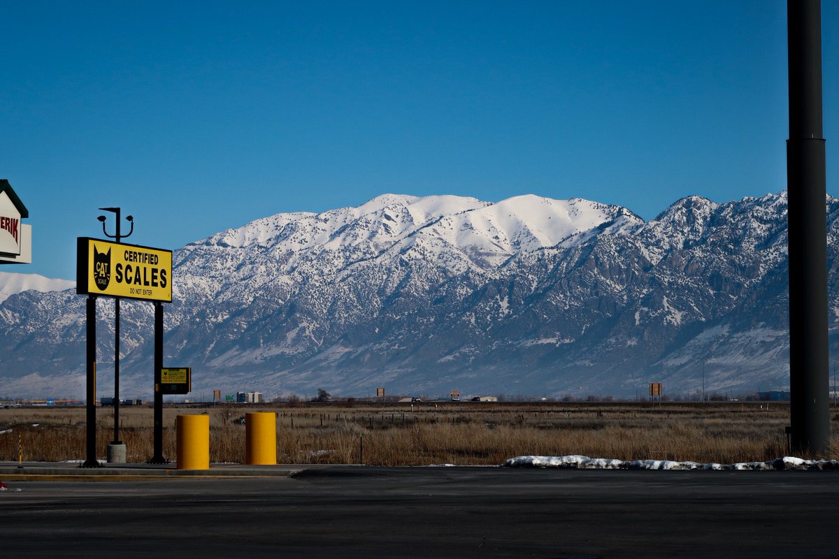 Joe Dailey tweet media