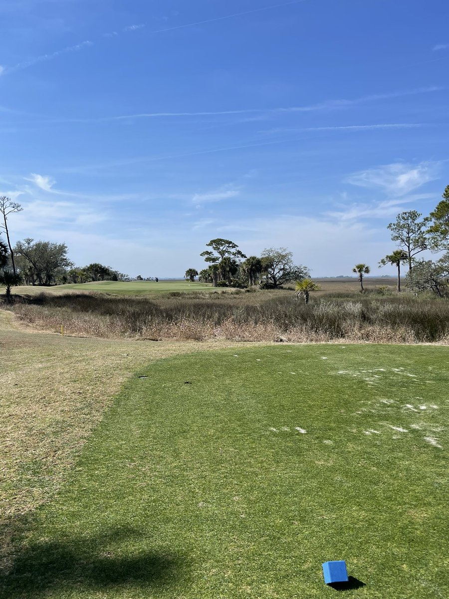 LCGCSA tweet media