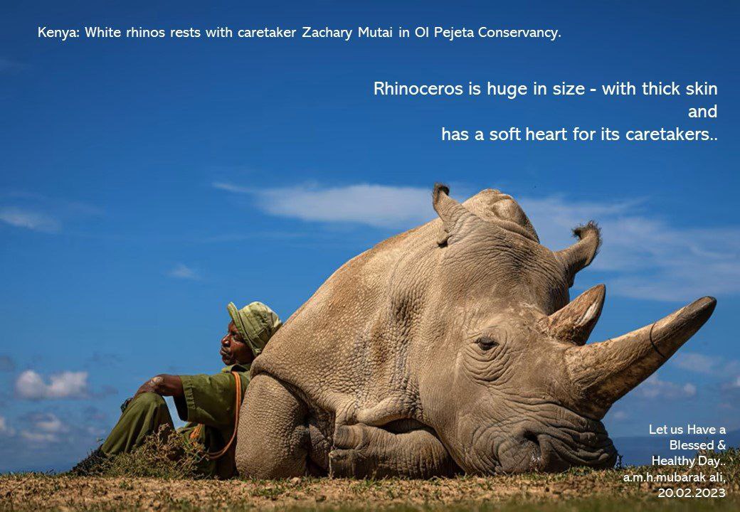 Evergreen Mubarak (@mubarakali726) on Twitter photo 