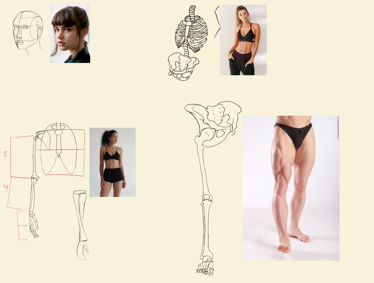 ShinMendor's tweet photo. #anatomypractice https://t.co/W3br8iBLEA