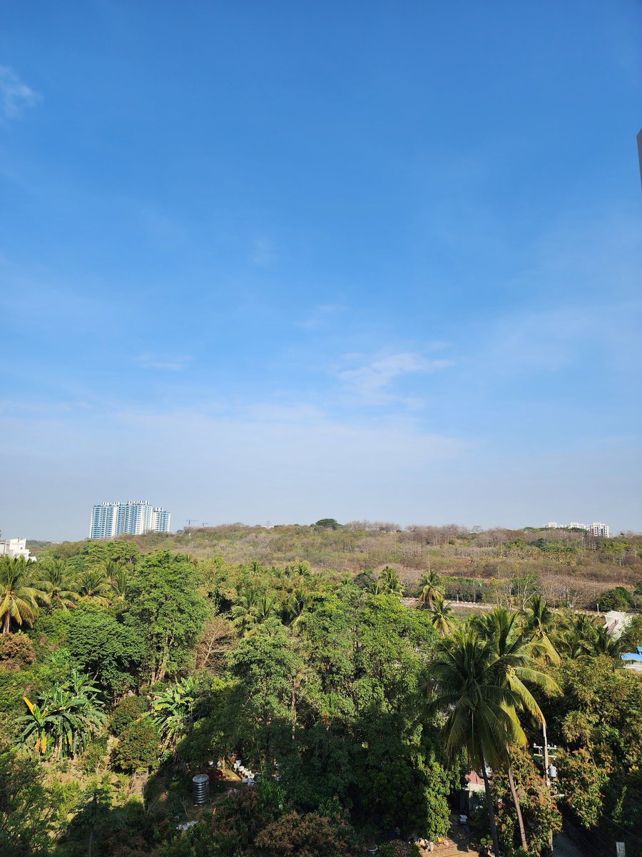 msDaniel_Zhamay's tweet photo. Goodmorning Kaohsiung Taiwan!😍 https://t.co/W56guX0PeQ