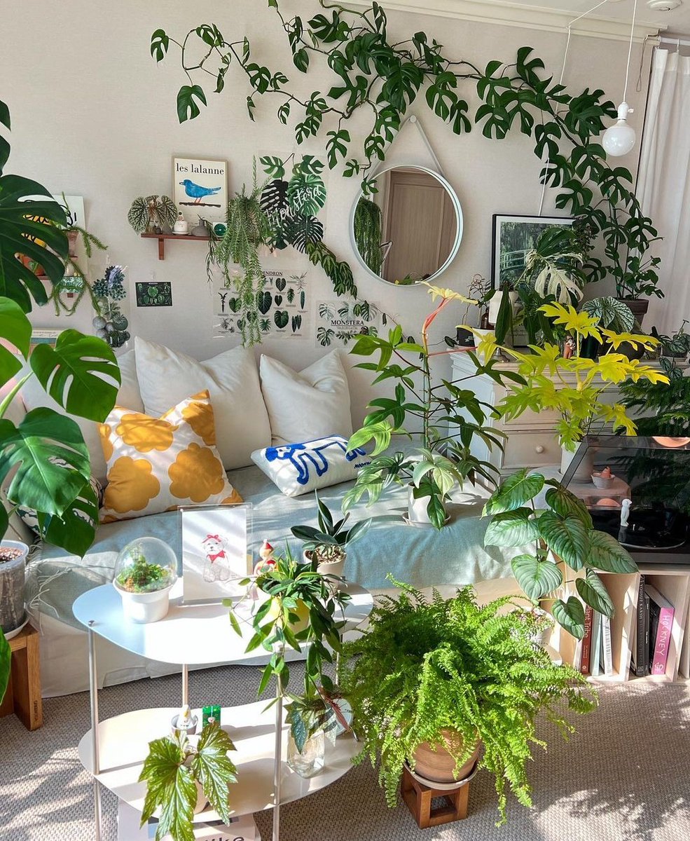 HobbyistPlant's tweet photo. A bright happy living room 🌿 https://t.co/hA5y7MnNjf