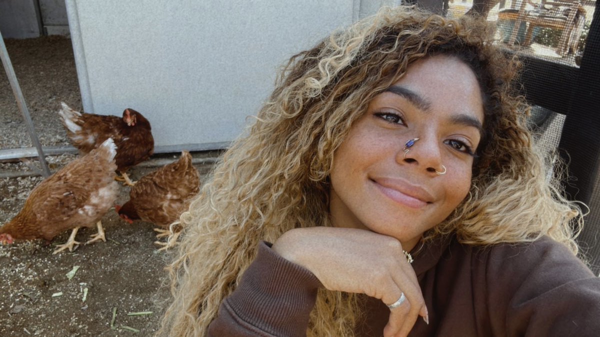 Helayna 🦁 on Twitter "Chicken update I love them 🐓"