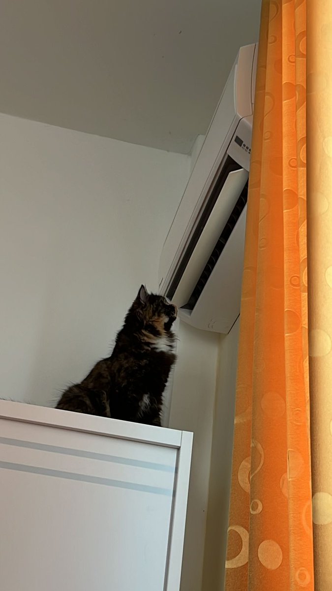kiwisikucing's tweet photo. Aku juga bisa benerin ac. Kayak kemaren ac di rumah mbak mati, aku lagi cek. Padahal katanya mbak udah bayar listrik tapi tetep aja ac nya mati https://t.co/iJzH1Lx8rd