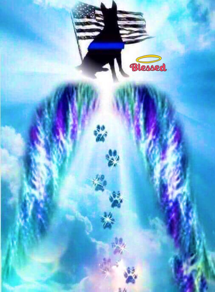 Becool088's tweet photo. @protectingblue #EnoughisEnough๐๐ค๐พ๐พ๐ค๐ ๐๐พ๐ช๐พ๐
R.I.P. #K9Duke๐พ๐๐๐ผ๐๐พ Run free sweetheartโค๏ธ
#NeverForgotten #BluePawsMatter๐๐พ๐พ๐ https://t.co/DemT8aAaah