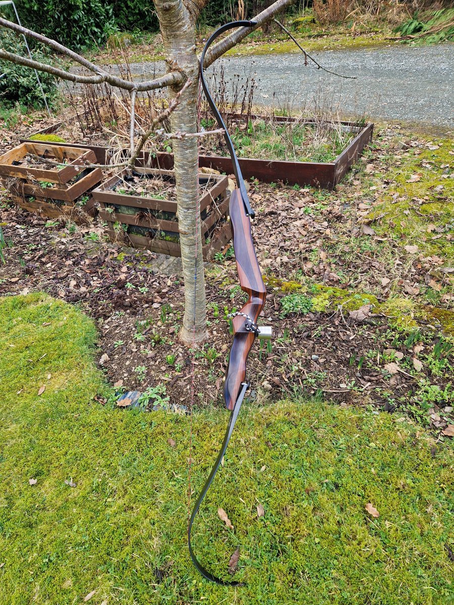 ArcheryHeaven's tweet photo. Naw Bow Day : Border Archery 25 ILF with CV-9H limbs #38L [by RoveBeyond]
  
 #archeryForLife #arrows https://t.co/4yYra1SEFI