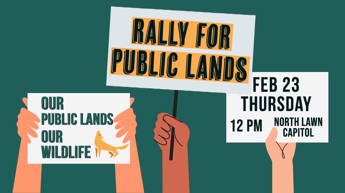 FootlooseMT's tweet photo. Join us at the Rally for Public Lands 2023 this Thursday, Feb 23, 12PM, north lawn of the MT capitol building, 1301 E 6th Ave. Let's show the legislature that we will fight for our public lands, waters and wildlife!
Speaker lineup and more info: https://t.co/VQ3fjr8lAI https://t.co/Drh7fV7tlv