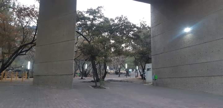 SuenanMariposas's tweet photo. #ALASAC #ArteLaboratorioyActivismoSocioCulturalAC #SoñandoMariposas #TejerHumanidad
#UPN
#ASI
#UnPequeñoActoDeAmorTransformaMundos
#SoñandoMariposas
#TÚTienesUnPesoMuyImportanteContraLaViolenciaInfantil
#NiñezUnidaSiempreProtegida
#AdultosInformadosNiñasyNiñosBienCuidados https://t.co/Fyhe1Kky3U