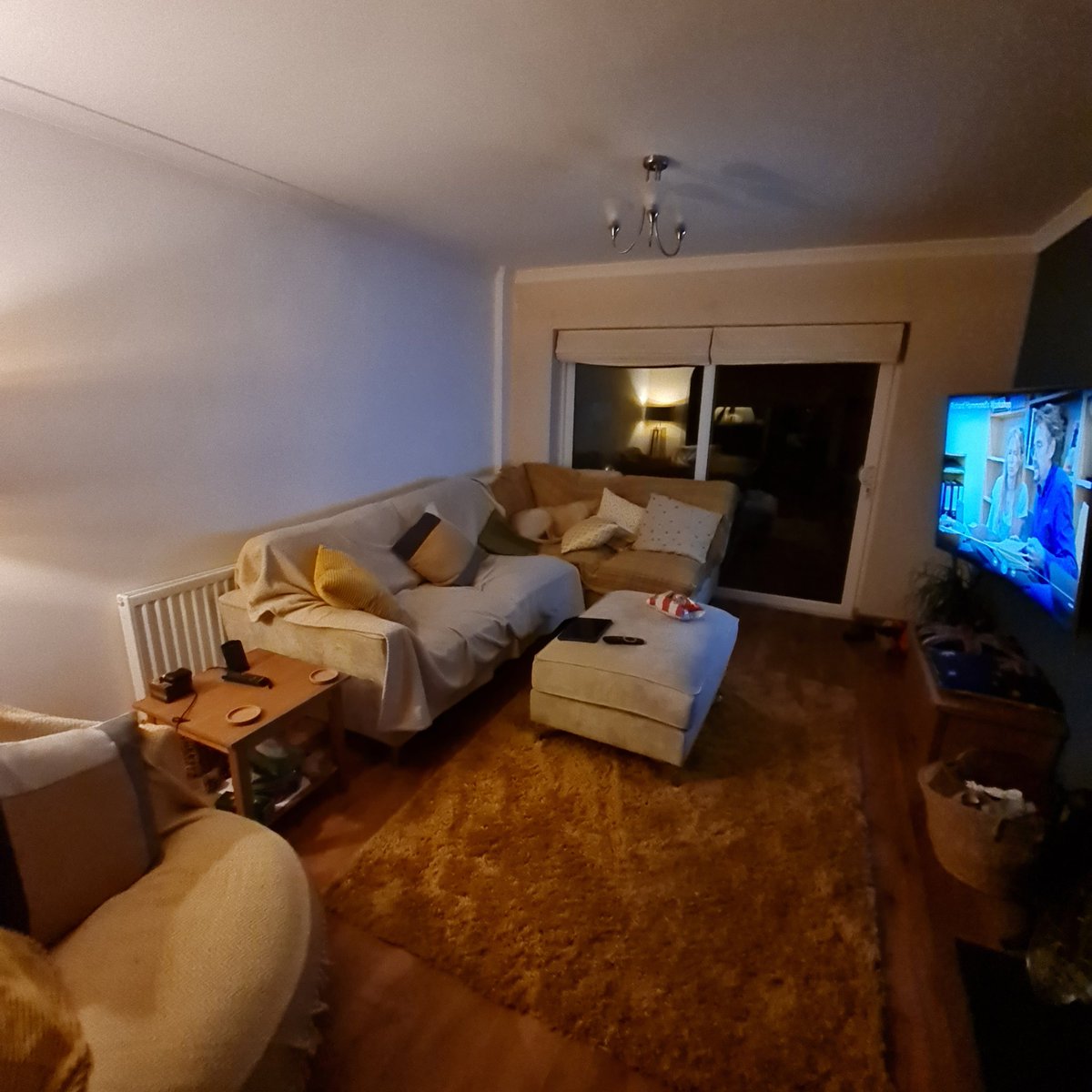 I'm playing hide and seek with our Dennis......he thinks he's really good at it! 🤣