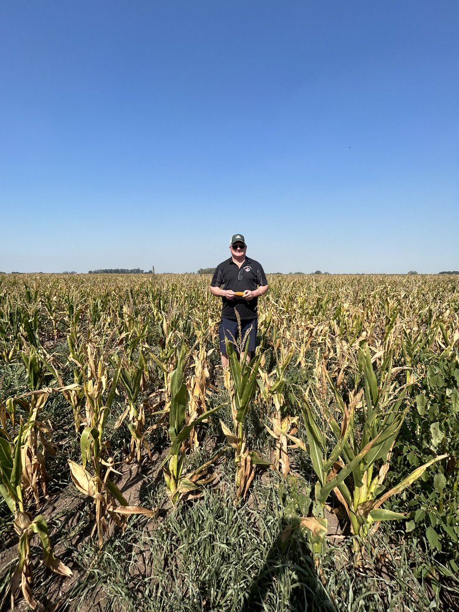 Eye opening farm tour in the Pampa region in Argentina. The drought is very real ☹️