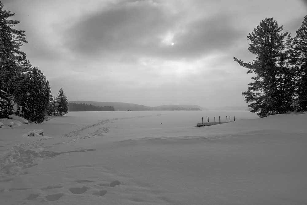 SusanGuy18's tweet photo. Smoke Lake, Algonquim Provincial Park https://t.co/ohOgqNk25G