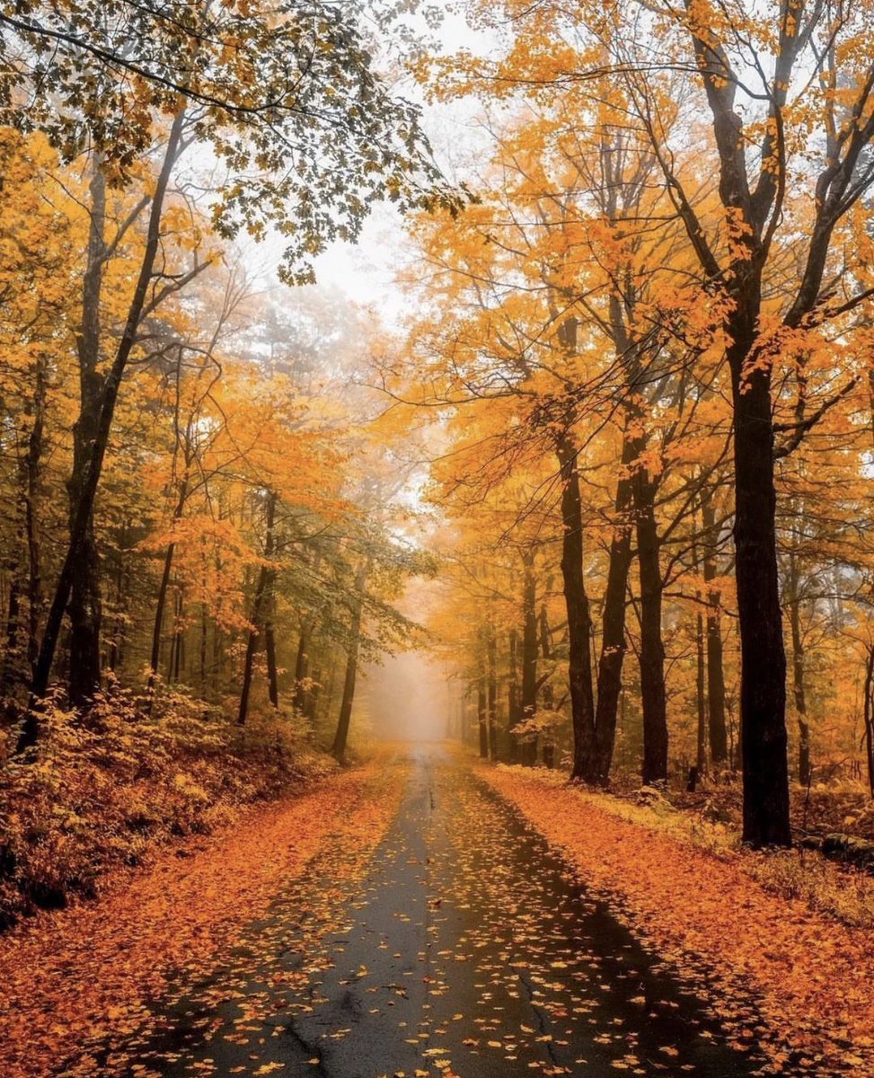 aperfectpumpkin's tweet photo. https://t.co/5B6x45350c