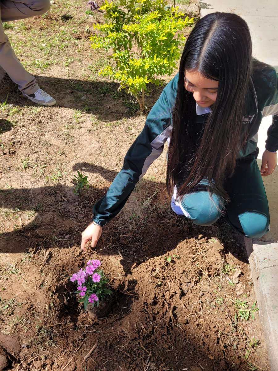 MailVerde's tweet photo. .@COBAES_07  #CobaesNoticias 🗞 | #Estudiantes de 6to. Semestre siguen trabajando en la actividad: "Planta un Árbol 🌳", actividad correspondiente al #ProyectoIntegrador del #MomentoI del #Semestre2023A de la Asignatura de #Ecología y #MedioAmbiente. https://t.co/EbgPBk058e