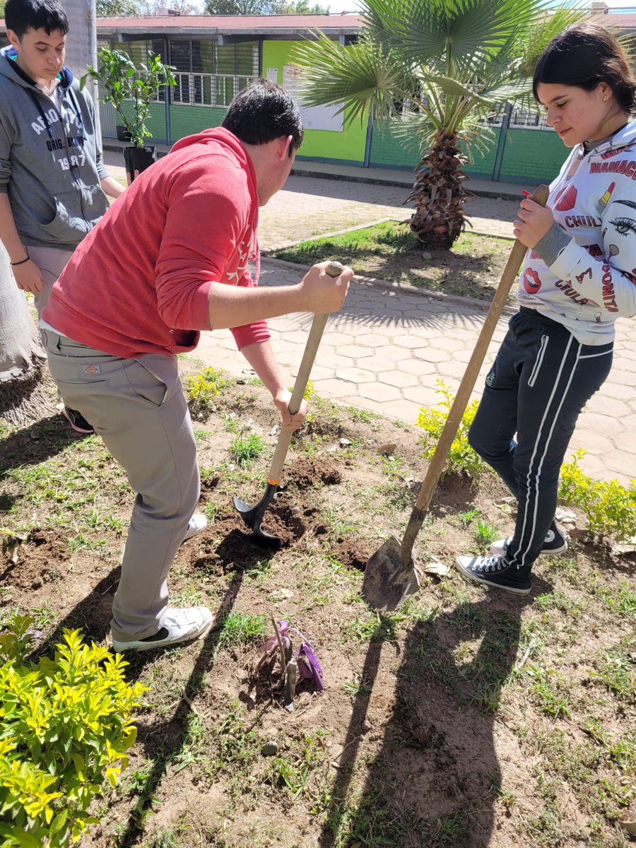 MailVerde's tweet photo. .@COBAES_07  #CobaesNoticias 🗞 | #Estudiantes de 6to. Semestre siguen trabajando en la actividad: "Planta un Árbol 🌳", actividad correspondiente al #ProyectoIntegrador del #MomentoI del #Semestre2023A de la Asignatura de #Ecología y #MedioAmbiente. https://t.co/EbgPBk058e