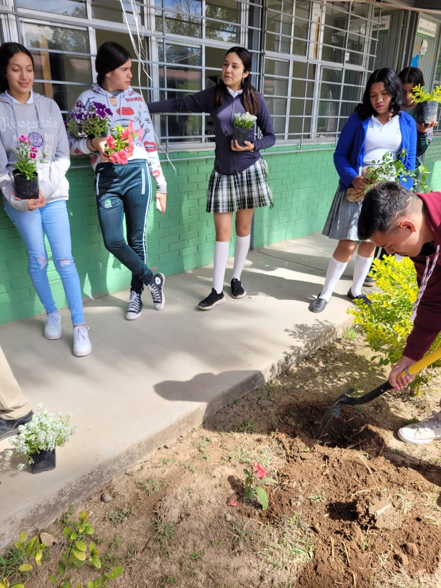 MailVerde's tweet photo. .@COBAES_07  #CobaesNoticias 🗞 | #Estudiantes de 6to. Semestre siguen trabajando en la actividad: "Planta un Árbol 🌳", actividad correspondiente al #ProyectoIntegrador del #MomentoI del #Semestre2023A de la Asignatura de #Ecología y #MedioAmbiente. https://t.co/EbgPBk058e