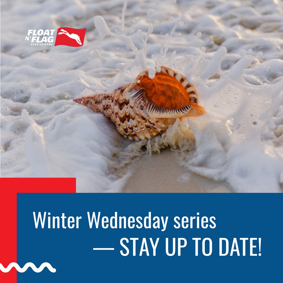 FloatnFlag's tweet image. Happy Family Day!  You should check out our FREE Wednesday seminars!  Are you editing your photos like a pro? You can even plan to come to our Newfoundland Wine &amp;amp; Cheese as a family this Thursday night at 7:00 p.m.

floatnflag.com/local-events/
#floatnflagwinterwednesday
#familyday