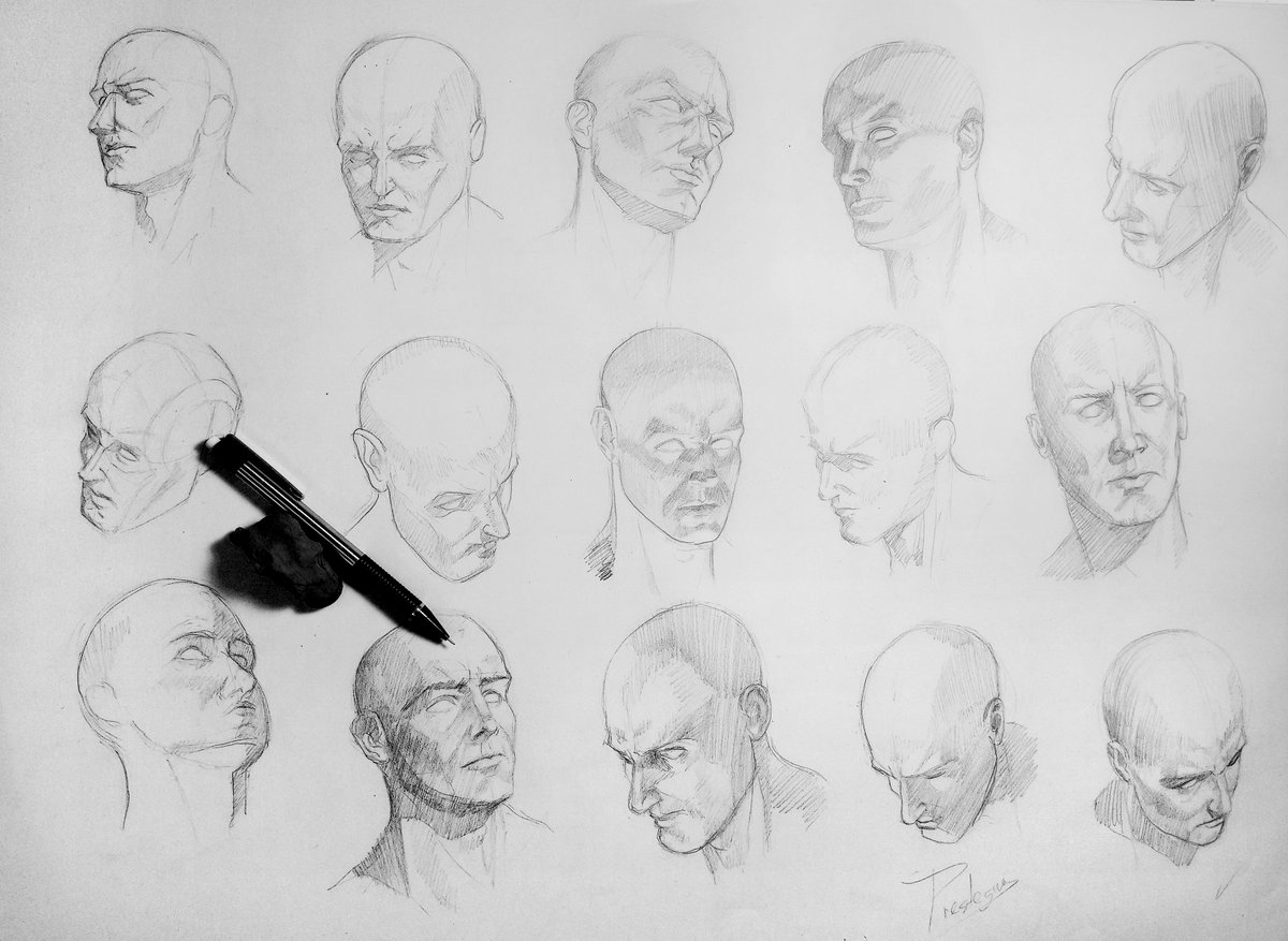 Anatomy studies...the human head #anatomy #moleksine #sketch #practicing #anatomy #sketchbook #humanfigure #humanhead