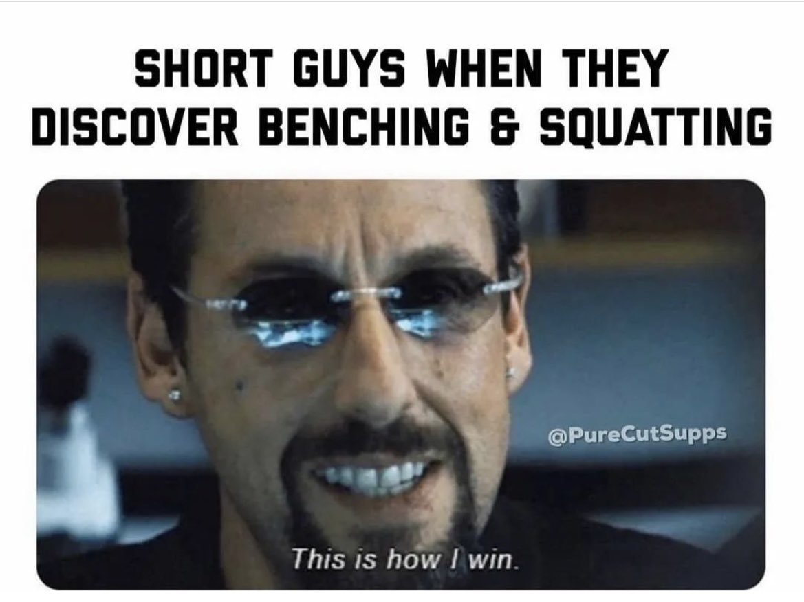 IronTitanFit's tweet photo. We have to have something😈
-

#gymmotivation #gym #fitness #gymlife #bodybuilding #gymapparel #gymshark #workout #fitnessmotivation #gymtime 
#irontitanfitness #gymrat #apparel #workoutapparel #gymmeme #memes #gymmemes https://t.co/M5DKzb5UGr