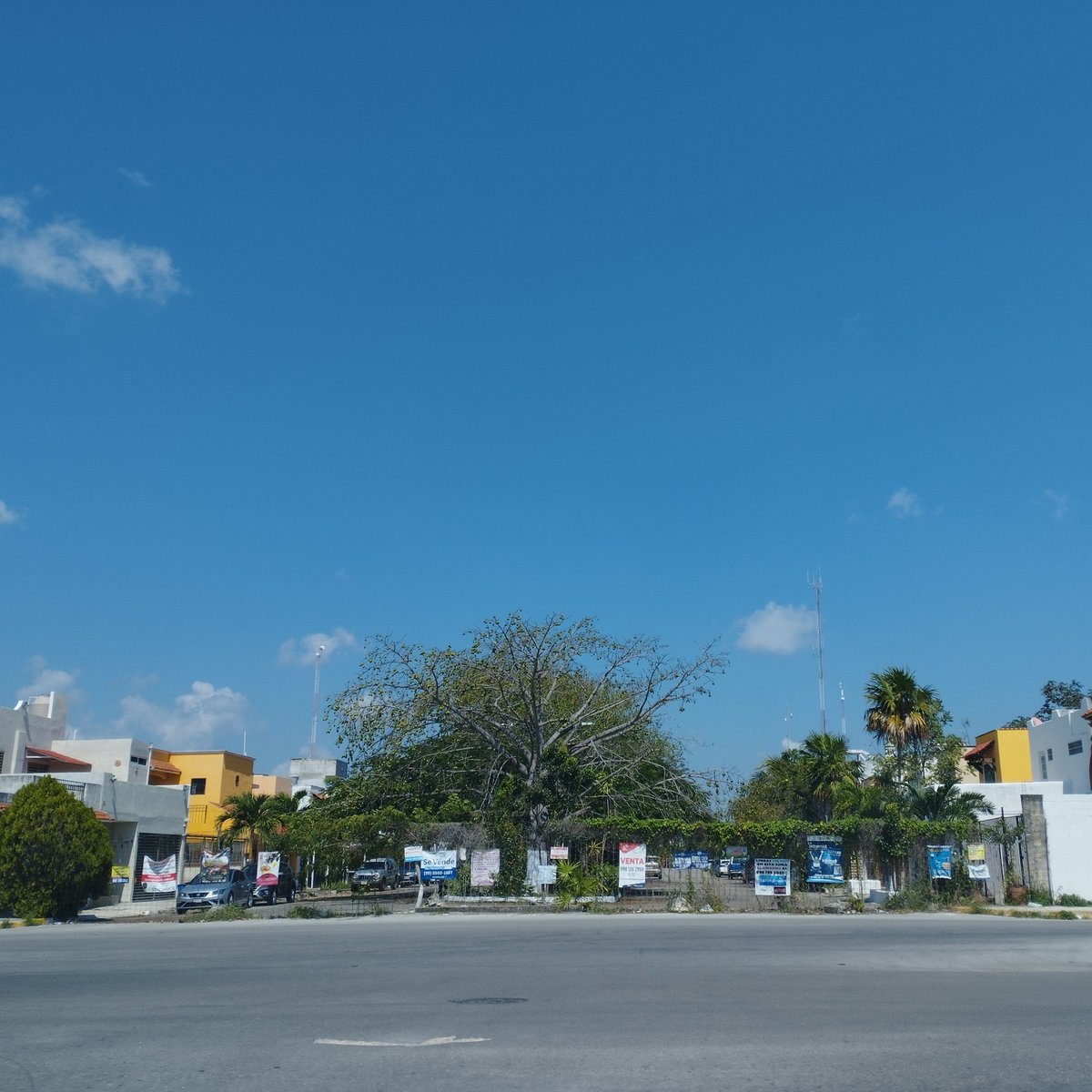 CancunSOS's tweet photo. Les pedimos apoyo para retirar esa malla.

@AytoCancun @TransitoBJ @imoveqroo @DGOP_BJ @ServPublicosBj @SerPublicosBj https://t.co/Ib60yFhQzN