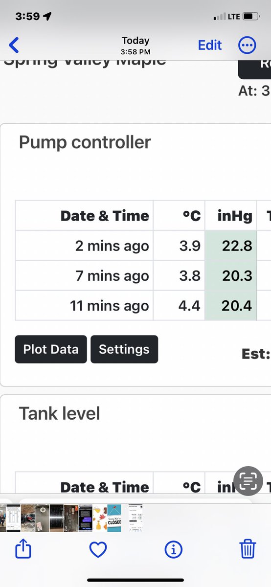 SpringValleyMa6's tweet image. I think we have finally defeated the squirrels in this bush….for now!