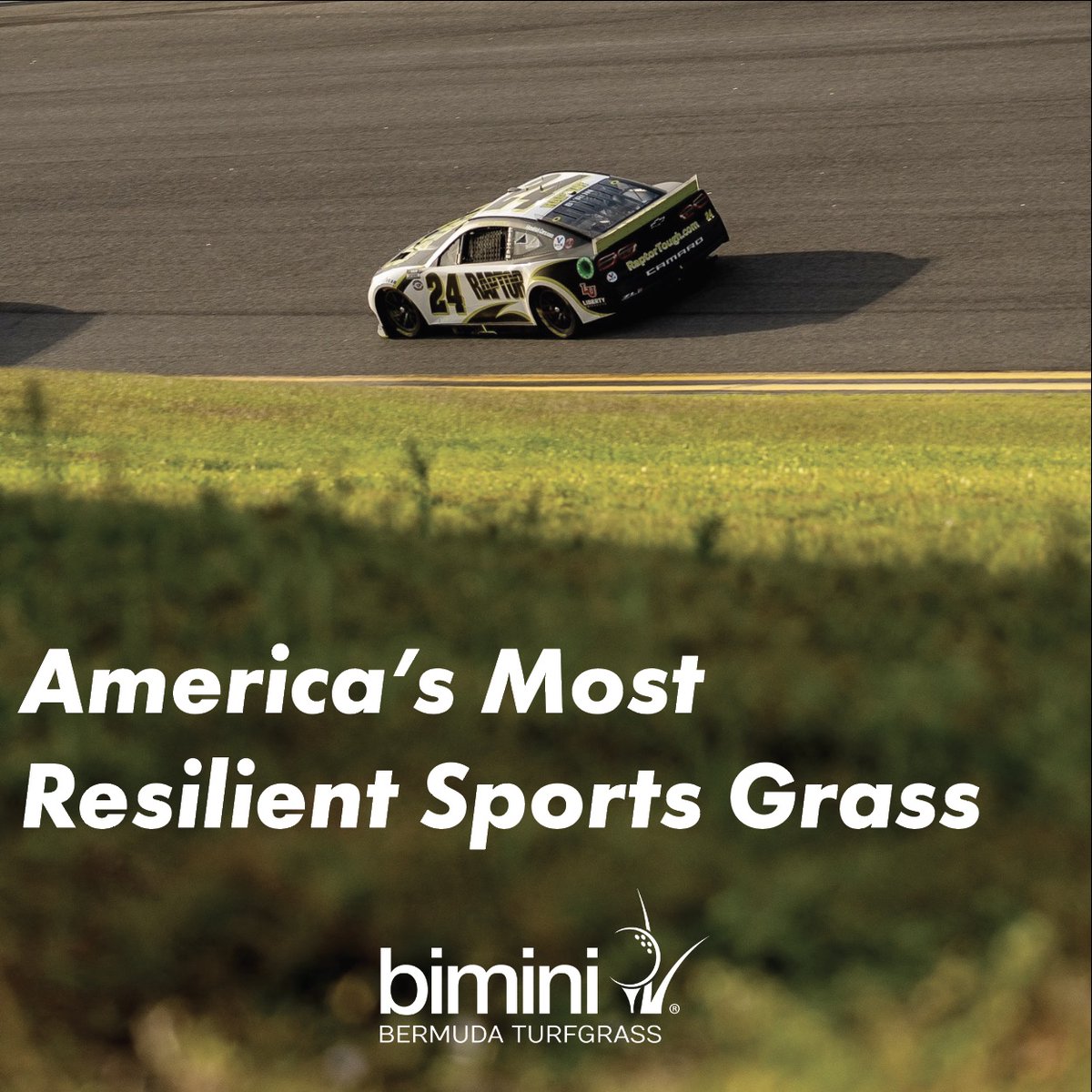BethelFarms's tweet photo. “Boogity Boogity Bimini, let’s go racing boys!” Who watched the Daytona 500 yesterday and saw Bimini Bermuda on the infield? 🏁

 #Americasmostresilientsportsgrass #daytona500 #infield #biminibermuda https://t.co/hestRT41Lz