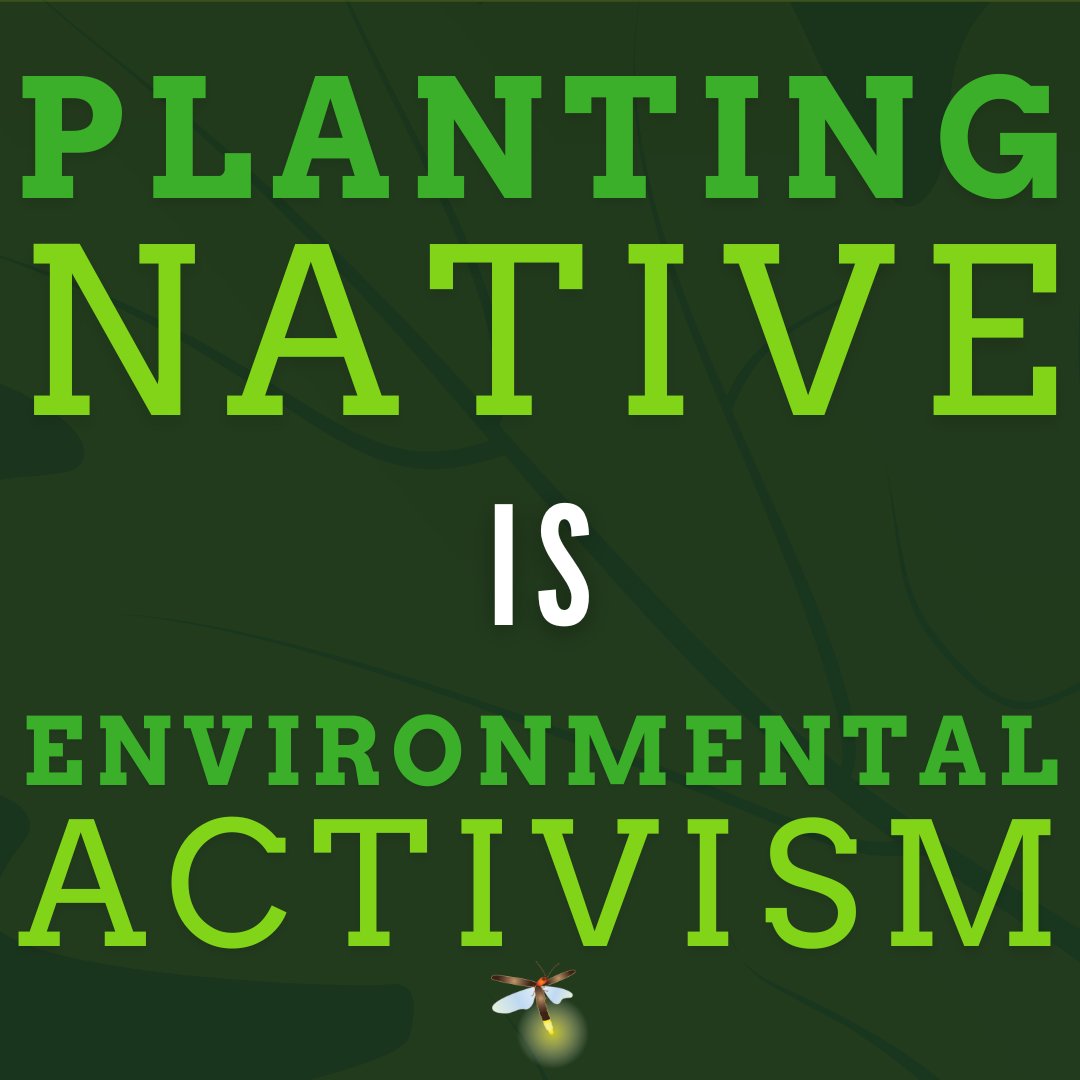 homegrownnationalpark tweet media