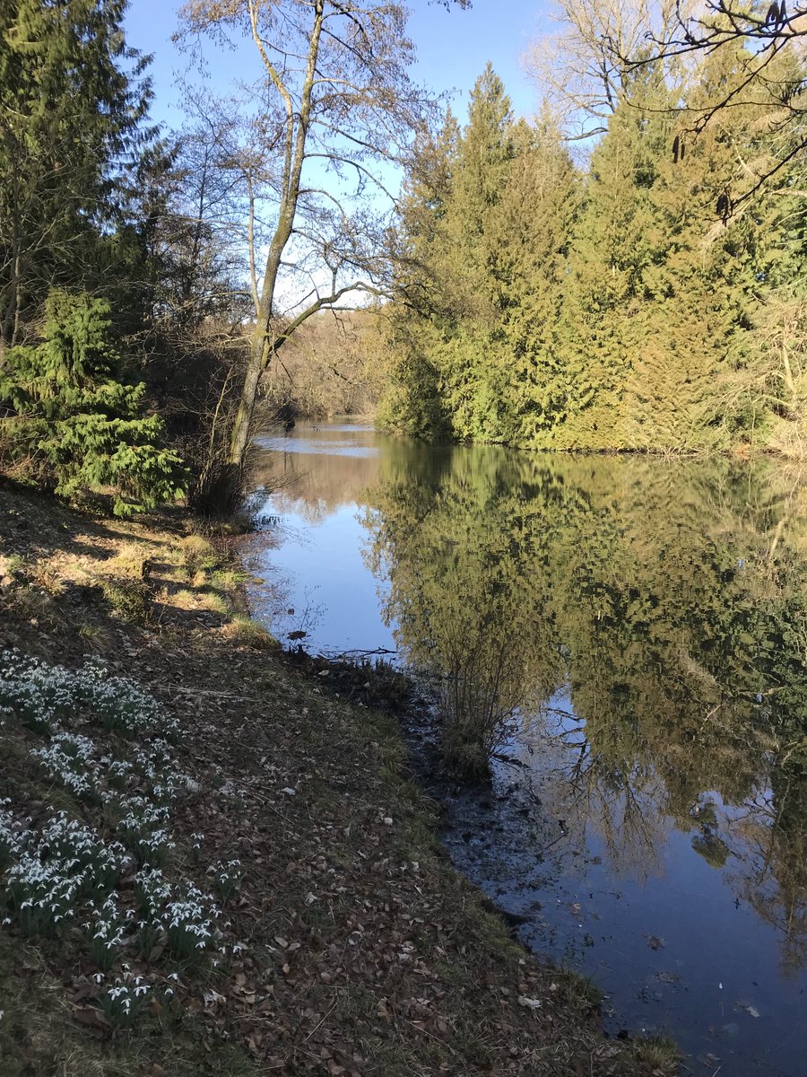 YoudTony's tweet photo. Fabulous Sunday afternoon ⁦@colesbournepark⁩ https://t.co/tJds8CyAtO