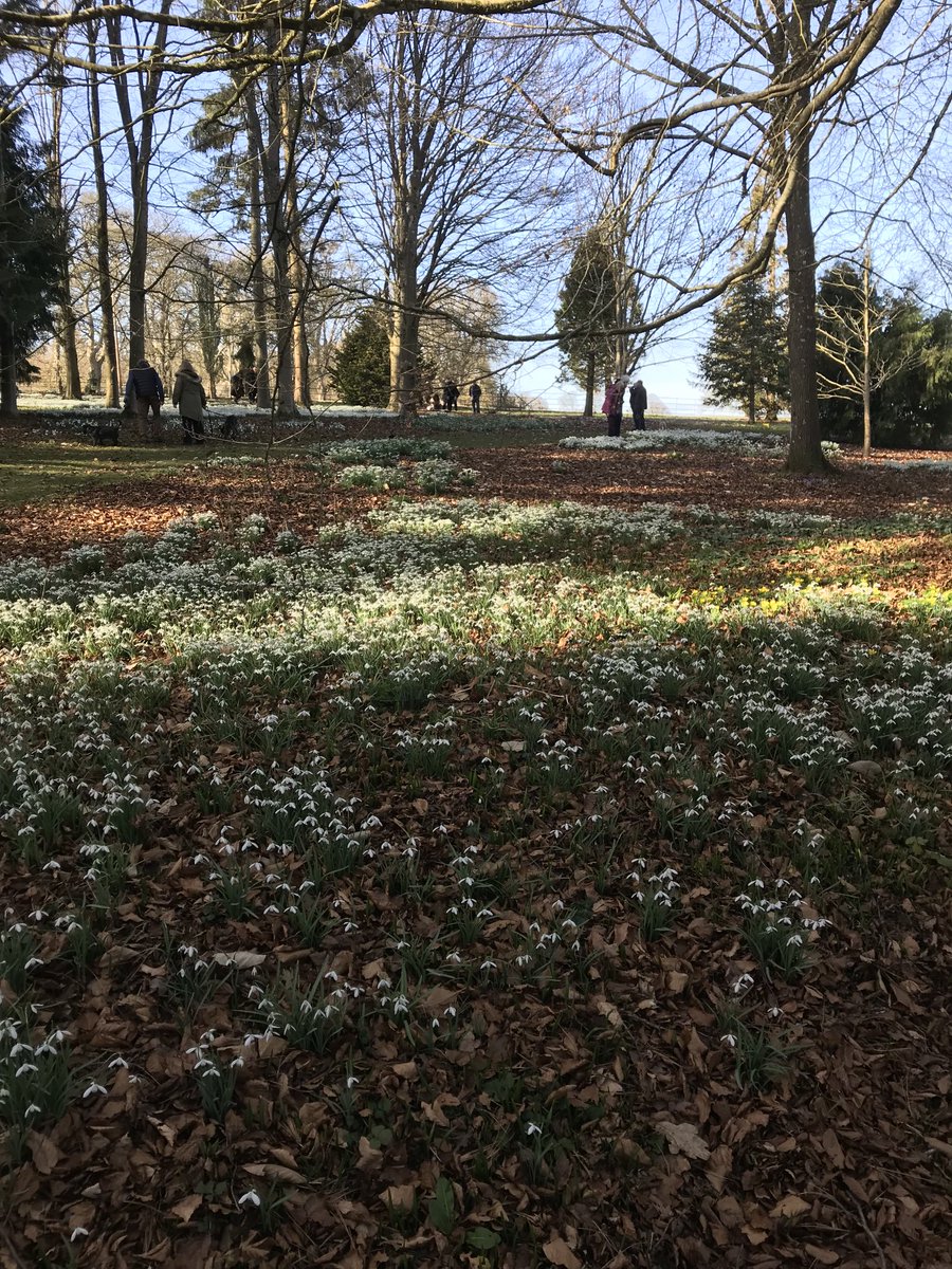 YoudTony's tweet photo. Fabulous Sunday afternoon ⁦@colesbournepark⁩ https://t.co/tJds8CyAtO