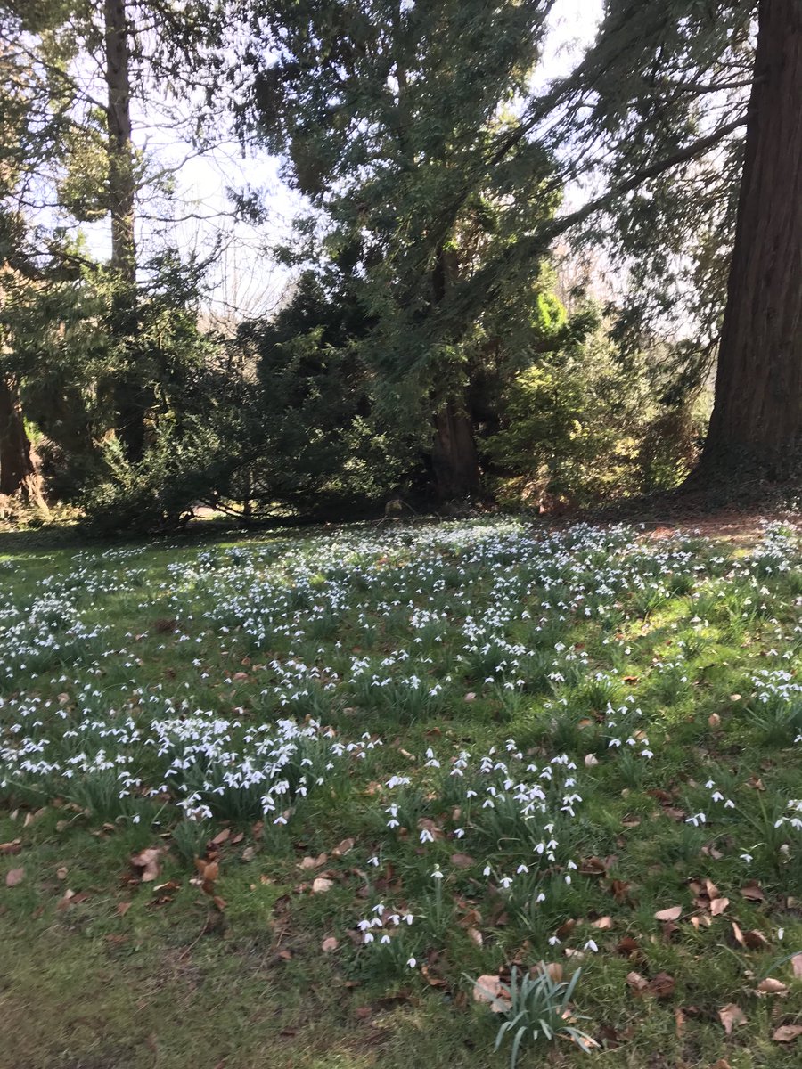 YoudTony's tweet photo. Fabulous Sunday afternoon ⁦@colesbournepark⁩ https://t.co/tJds8CyAtO