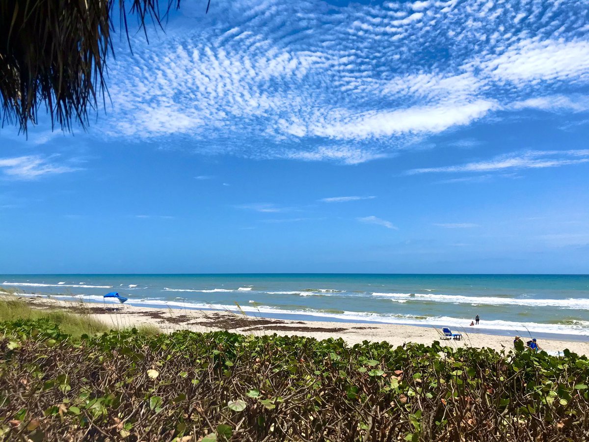 Josh Agar tweet media