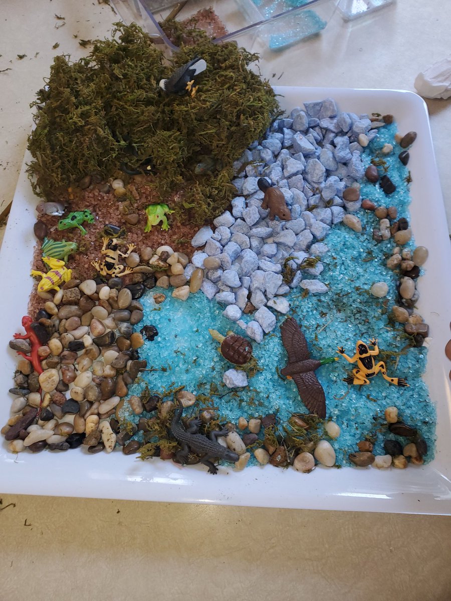 ms_holden1's tweet photo. When rivers lead to oceans... @Hazelwood_Elem @Ms_Ryan1 @NLESDCA @MUNEducation Constructed as a cooperative team. (Always open to donations of gems, rocks and animals.) 😀 https://t.co/1jIm0nyFwN