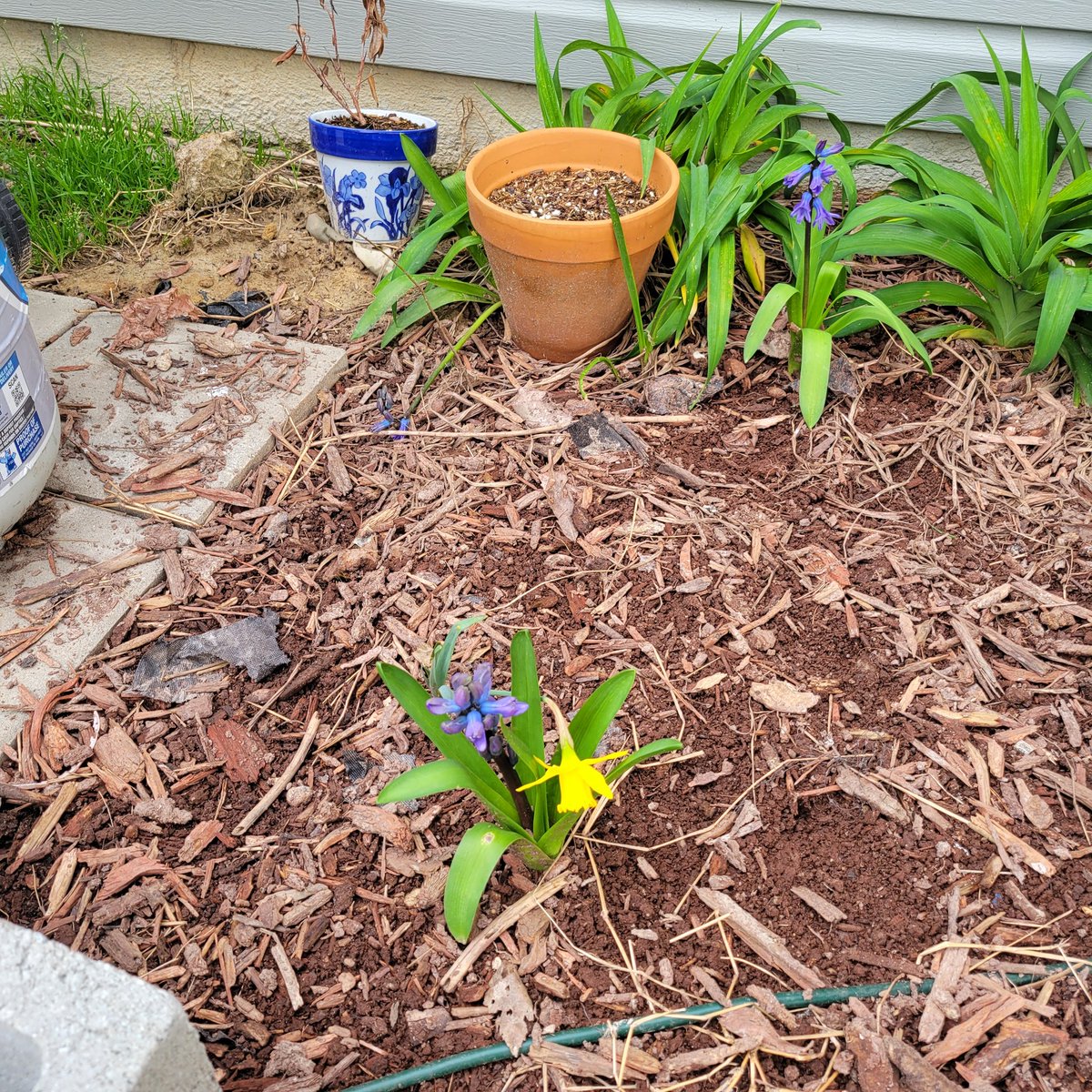 nancyenoel25's tweet photo. Hello, Spring! https://t.co/FTSfMWKtoX