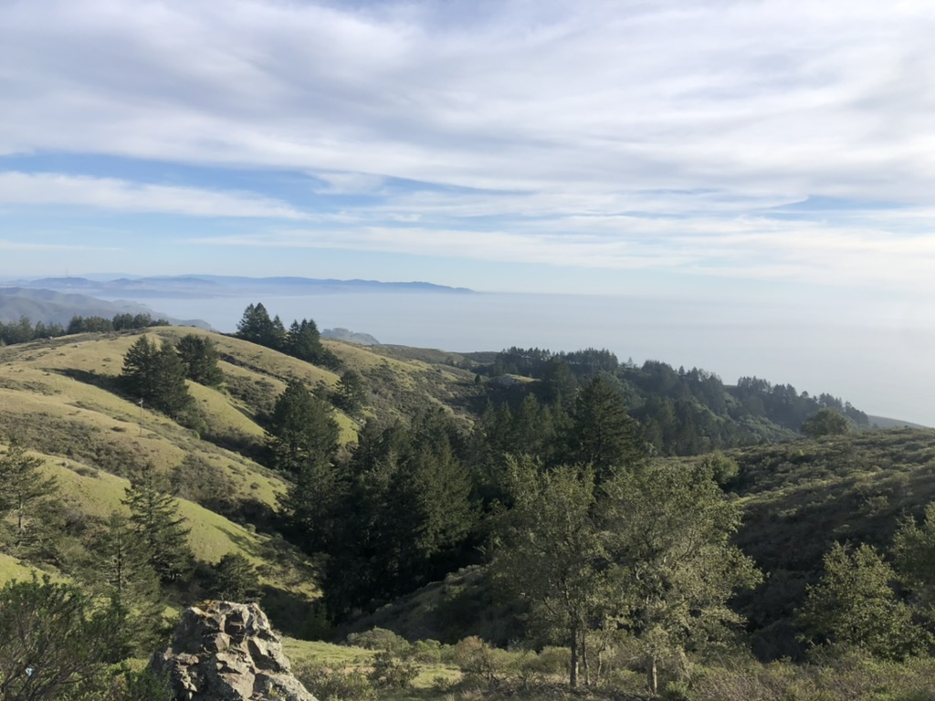 auradeluxe's tweet image. It's been a beautiful long weekend and a great time with my Croatia fam @SplitXglobal ❤️‍🔥 @marinaberlin1 touching grass and enjoying life #fjaka