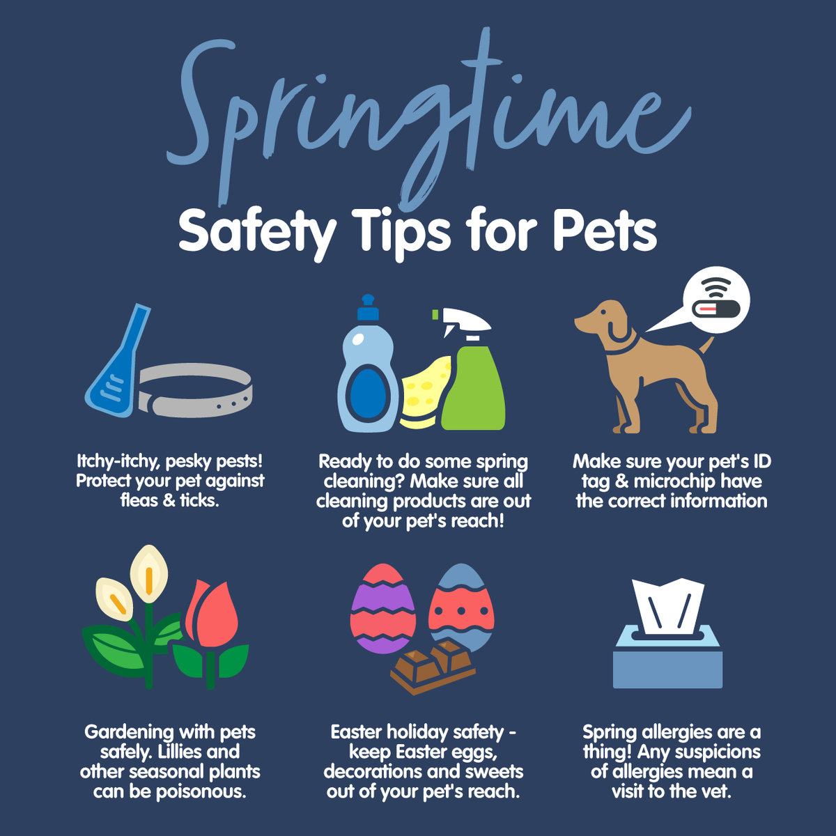 OutpostPet's tweet photo. Springtime is just around the corner, make sure you and your furry friends are prepared!

#spring #springtime #springtimepets #springtimepetsafety #springtimepetsafetytips #pets #petsafety #petsafetytip https://t.co/SspEWX7Lus